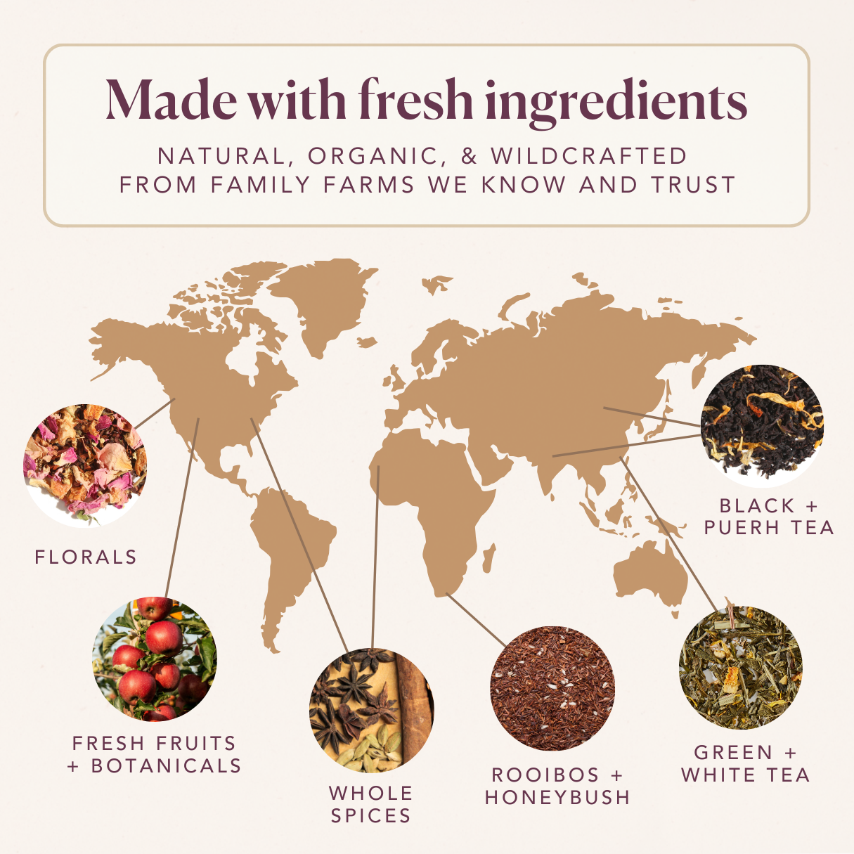 Plum Deluxe Self Care Apricot Elderberry Herbal Loose Leaf Tea Honeybush