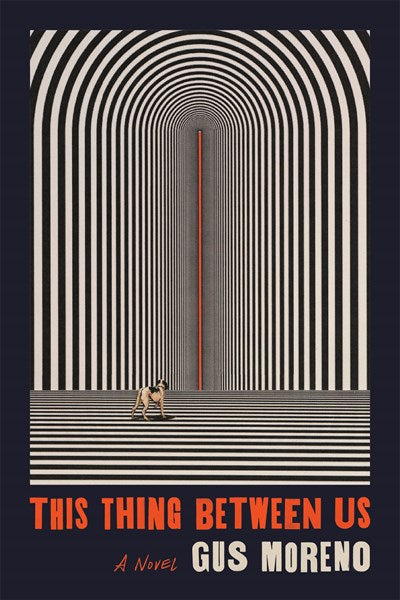 This Thing Between Us : A Novel